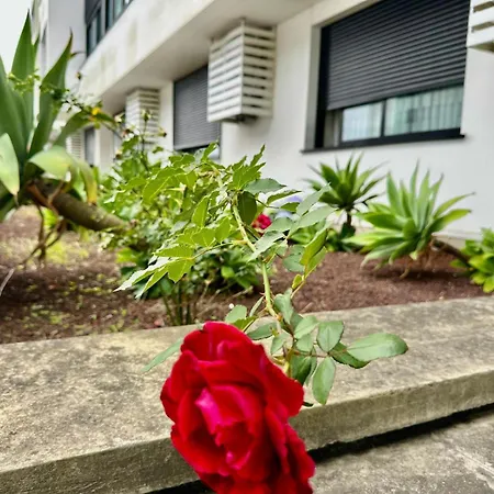 Azores Pico Salomão T2 - Aw * Ponta Delgada