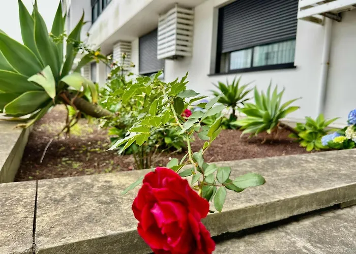 Azores Pico Salomão T2 - Aw * Ponta Delgada